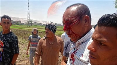 في موقف إنساني.. وزير الزراعة ومحافظ سوهاج يزوران موظفا أصيب خلال إزالة تعديات