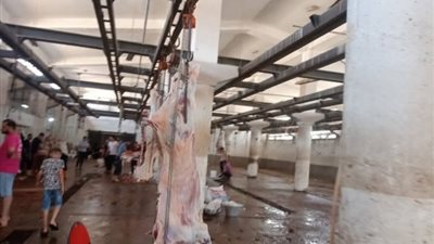 البحيرة: ذبح وتجهيز 327 رأس ماشية بمجازر المحافظة حتى الأن