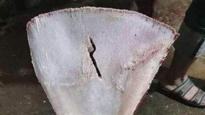 تحذير من دماء وعظمتين بالأضحية.. تستخدم في أعمال السحر والشعوذة