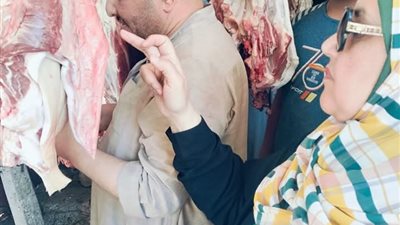تحرير 35 محضر ضد جزارين لعرض وبيع لحوم مذبوحة خارج المجازر ببني سويف