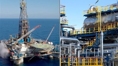 إلى من يهمه الأمر .. عمال بالبترول يستغيثون: