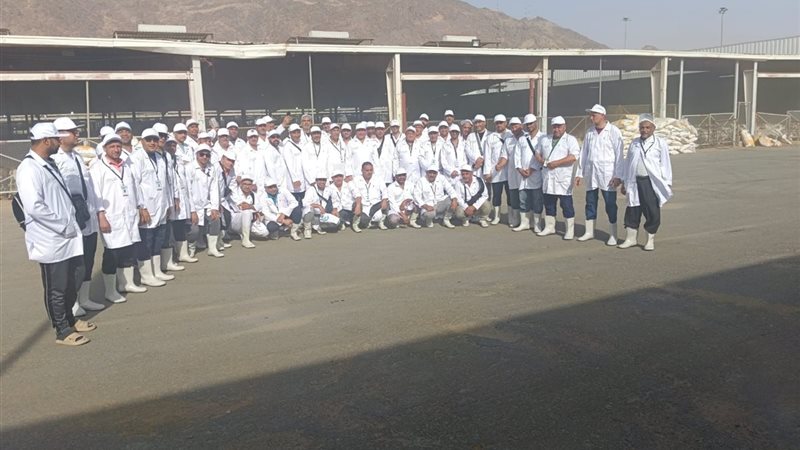 البعثة المصرية البيطرية