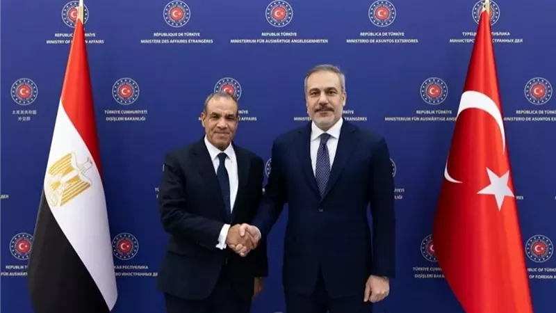 وزيرا خارجية مصر