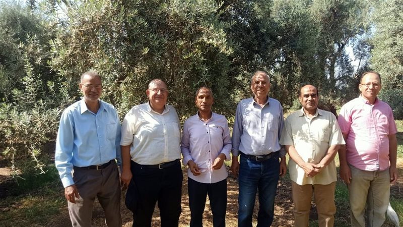 مركز البحوث الزراعية