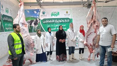 لمخالفة المواصفات.. تحرير 366 محضر للمخابز البلدية في أسيوط