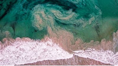 علماء يحذرون من انبعاثات ثاني أكسيد الكربون علي المحيطات: يهدد التوازن 