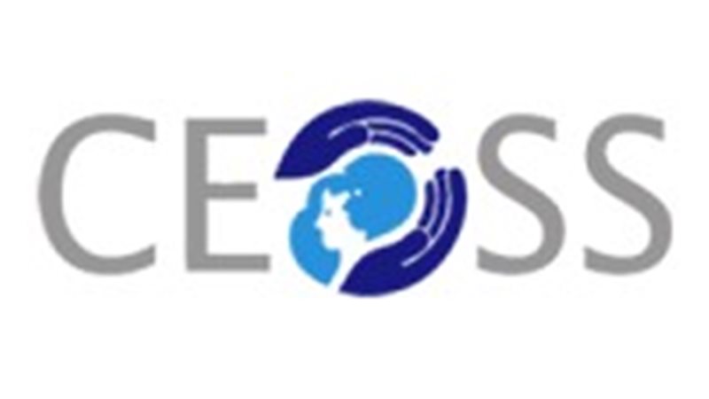 الهيئة القبطية الإنجيلية