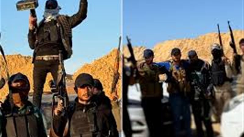 مجموعة أبو شباب