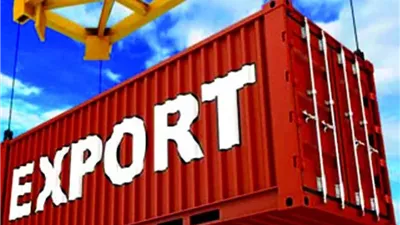 خبير: برنامج رد الأعباء التصديرية يزيد تنافسية المنتج المصري بالأسواق الدولية