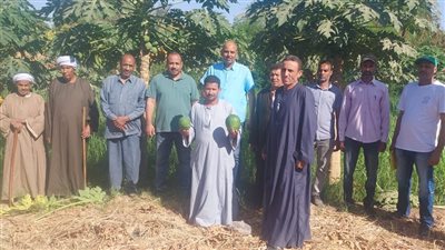 «الزراعة» تدعم المزارعين بمحطة البحوث بكوم امبو بالاحتياجات الإرشادية