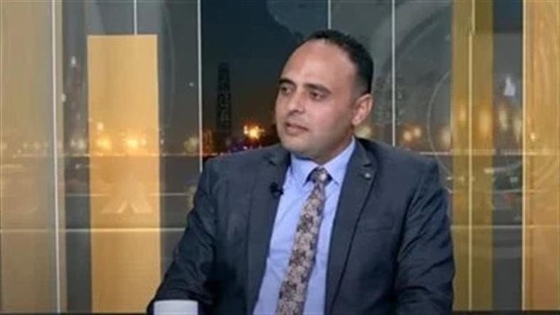 سيد خضر الخبير الاقتصادي
