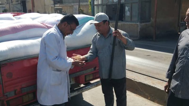 إنتظام أعمال توريد