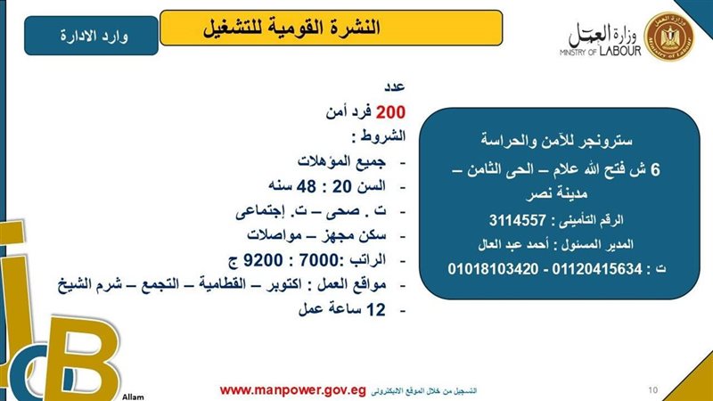 فرص عمل