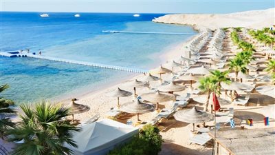 دار الإفتاء: يجوز الوضوء والاغتسال بماء البحر بإجماع العلماء.. والنبي أقر بذلك