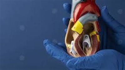 كيفية الوقاية من السكتة القلبية .. 10 خطوات فعالة لحماية القلب