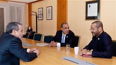 عبدالعاطي يؤكد لوزيري خارجية عمان وإيران اهتمام مصر بتحقيق التهدئة في المنطقة