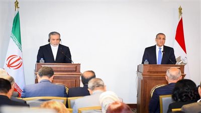 حسين هريدي: مشاركة مصر في منتدى أوسلو للسلام رسالة قوية لإنهاء العدوان على غزة