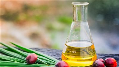 زيت النخيل.. مكون رخيص في الصناعة وخطر حقيقي على صحتك