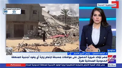 أسامة السعيد: احترام الإجراءات المصرية ضمانة لأمن الوفود ودعم القضية الفلسطينية