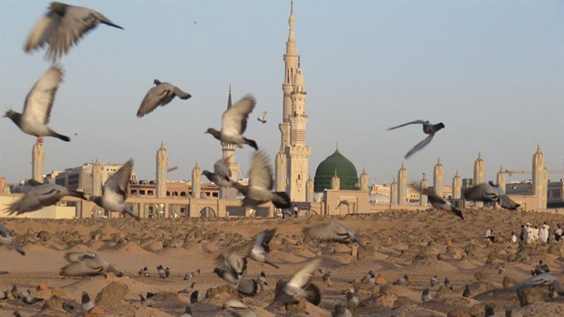 الروضة والبقيع -