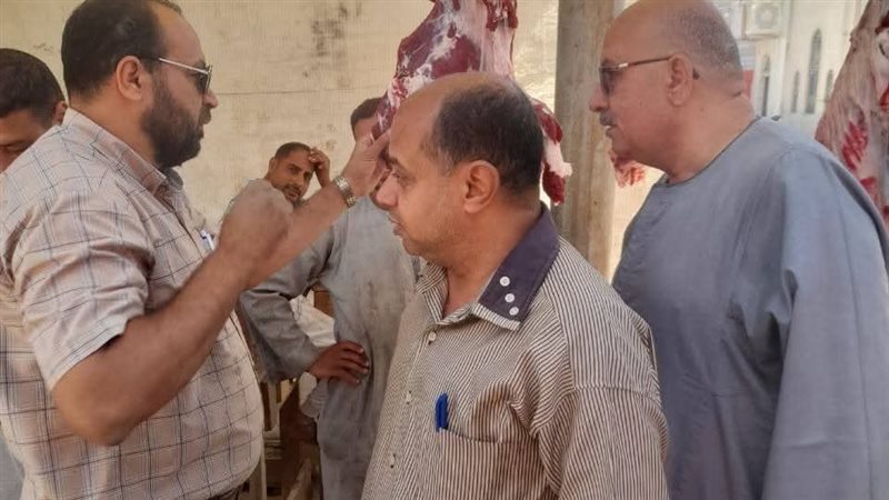 حملات تفتيشية بالمنيا
