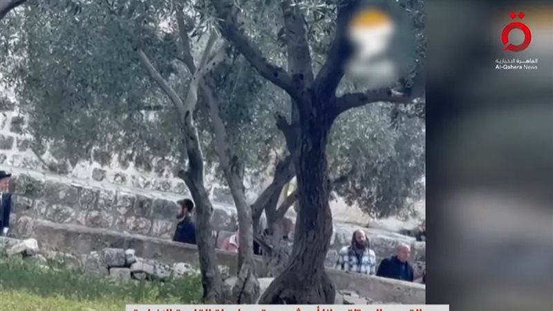 بن جفير يقتحم المسجد