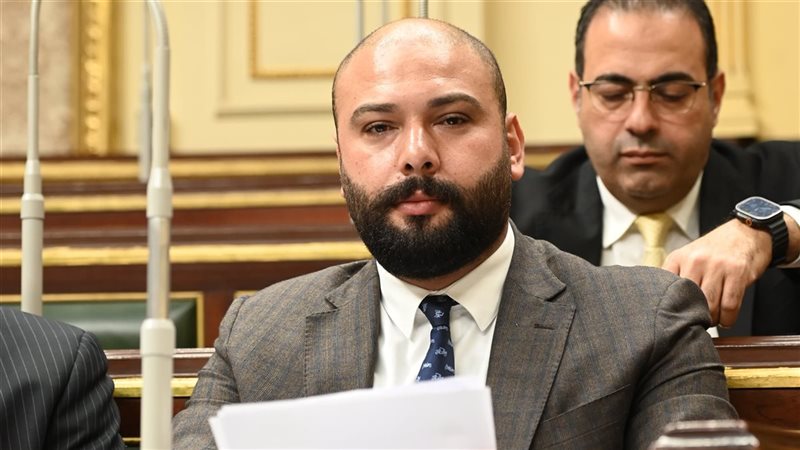 النائب إبراهيم الديب