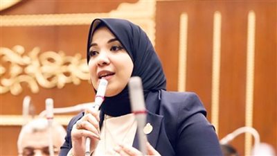 النائبة دينا هلالي: مصر ستظل داعمة للقضية الفلسطينية