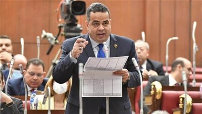 عصام هلال: بيان الخارجية يجسد احترام السيادة الوطنية