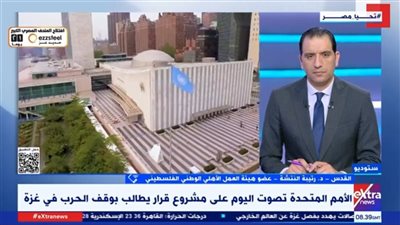 رتيبة النتشة: الأمم المتحدة لم تنجح في استصدار أي قرار قابل للتنفيذ