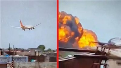 خبير طيران يفجر مفاجأة: أسراب الطيور قد تكون وراء تحطم الطائرة الهندية