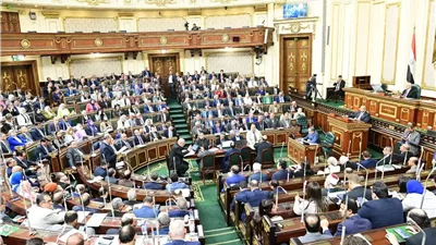 برلمانيون عن بيان الخارجية:السيادة المصرية لا تُساوَم وموقف مصر من فلسطين ثابت