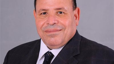 الشبيني يكشف عن مقترح نشر  ألواح الطاقه الشمسيه فوق البيوت المصرية