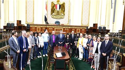 حقوق الإنسان  بالنواب تستعرض أمام وفد ألماني  جهود الدولة في ملف حقوق الإنسان