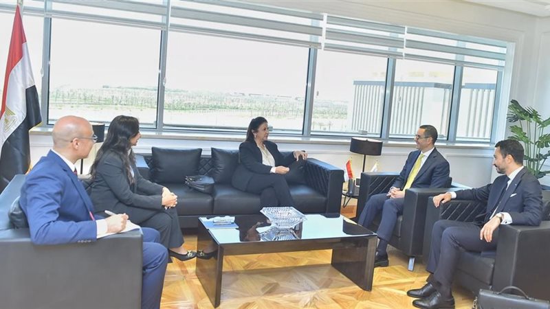 وزير الاستثمار