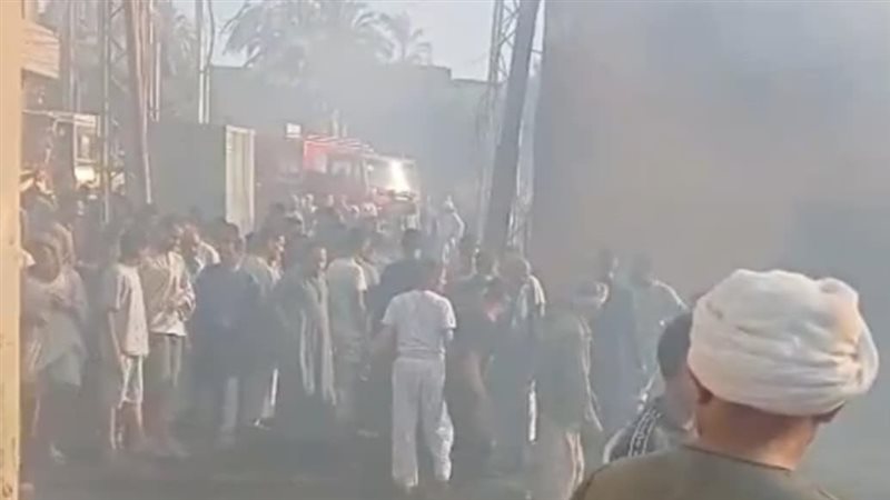 ارشيفية