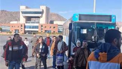 4550 مواطنًا سوريًا يغادرون عبر ميناء نويبع إلى وطنهم خلال 6 أشهر