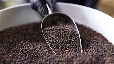 استخدامات غير متوقعة للفلفل الأسود وزيته في تنظيف المنزل وحماية النباتات