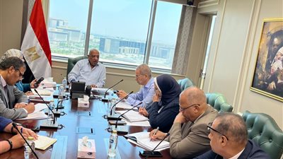 وزير الكهرباء يوجه رؤساء الشركات برفع درجة الاستعداد لتأمين الشبكة الموحدة 