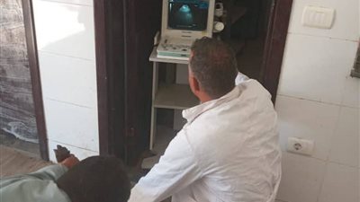 ضمن مشروع تحسين وراثي.. بيطري الشرقية يُجري مسحًا تناسليًا لـ5034 رأسا