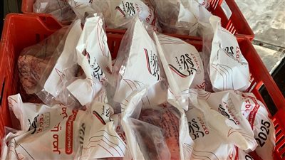 صندوق تأمين الماشية يستقبل زراعة عين شمس في مجزر النوبارية