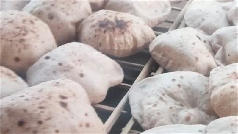 حملات تموينية بالقليوبية
