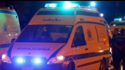 تفاصيل ذبـ.ـح زوج لزوجته بسبب خلافات زوجية بينهما في البحيرة