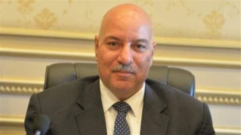 النائب عصمت زايد