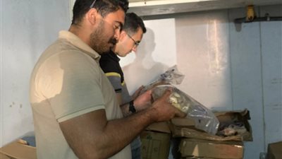 هيئة سلامة الغذاء: ضبط وإعدام أطنان من المواد الغير الصالحة للاستهلاك