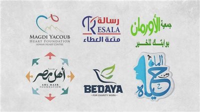  بين دعم التنمية والرقابة.. تعرف على ضوابط التمويلات الأجنبية للجمعيات الأهلية