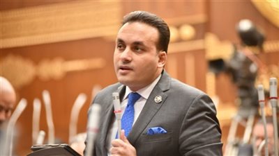 عمرو فهمي:قمة شرم الشيخ للسلام امتدادا لدور مصر الريادي في دعم القضايا العربية