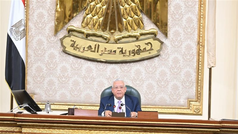 المستشار الدكتور
