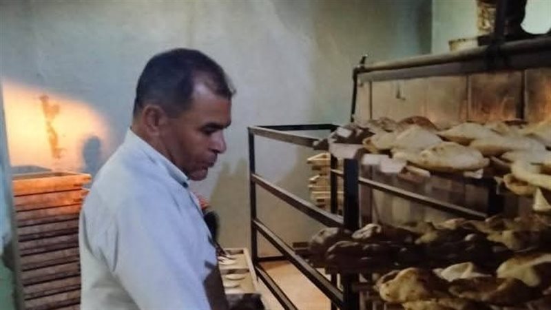 تموين المنيا