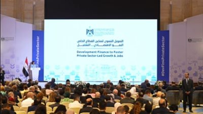 أيمن العشري: إطلاق آلية ضمانات استثمار وتمويل تنموي موسع خلال مؤتمر التمويل  